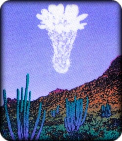 cactus magic